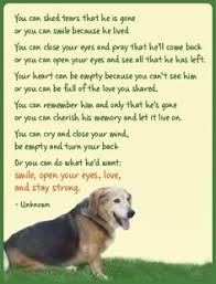 Inspirational Dog Stuff! on Pinterest | Dog Quotes, Dogs and Doggies via Relatably.com