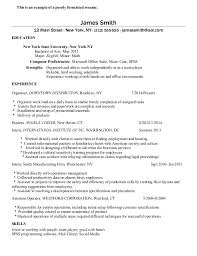 Professional Resume Writers Albany Ny   Resume Pdf Download The Ticket Doctor