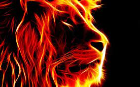Fire Lion Wallpaper Hd 3d