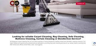18 best carpet cleaning services to