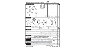 Moca without the visual elements, scored out of 22. Montreal Cognitive Assessment What To Know Cnn