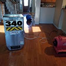 the 1 carpet cleaning in plano tx 3