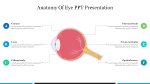 eye ppt presentation template