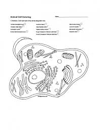 You can download all the coloring sheets only by click on the right and select save. Plasma Membrane Worksheet Printable Worksheets And Activities For Teachers Parents Tutors Homeschool Families Cell Cell Membrane And Transport Review Worksheet Answer Key Coloring Pages 7th Grade 4th Grade Math Rubric Put Math