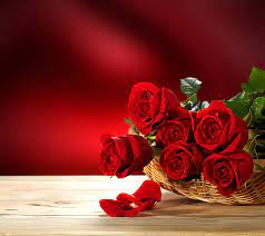 roses bonito love red roses romance