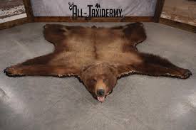alaskan brown bear taxidermy rug sku