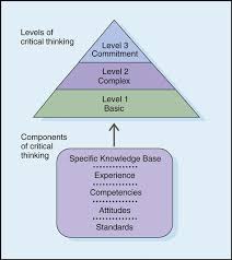 Critical Thinking  Nursing Process Management of Patient Care      Critical Thinking Skills   Nursing