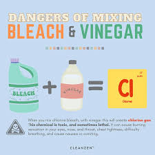 never mix bleach and vinegar yes it