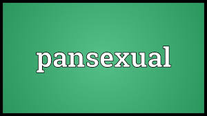 Download lagu terbaru, gudang lagu mp3 gratis terbaik 2020. Pansexual Meaning Youtube