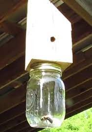 how to make a carpenter bee trap jeff