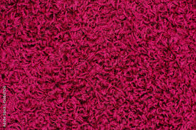 pink carpet texture stock photo adobe