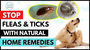natural homemade remes to get rid of