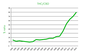 Average Thc Content Over The Years A 50 Year Look At