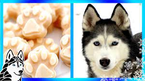 homemade diy frosty paws abc news