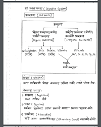 marathi english notes complete