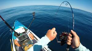 Mismatching light line with a reel and rod meant for heavy line, or vice versa, can result in damaged equipment. Kayak Fishing For Deep Sea Monsters New Zealand Ep 9 Field Trips With Robert Field Youtube