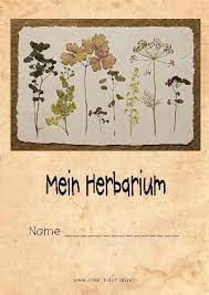 Dieses herbarium deckblatt und weitere kostenlose. Pin Auf Herbarium