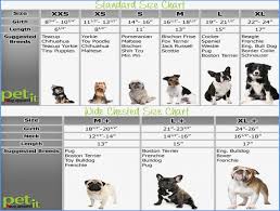 How To Have A Fantastic Siberian Husky Puppy Growth Chart