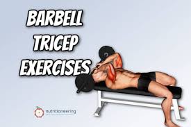 top 12 barbell tricep exercises for