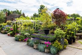the best garden centres in london