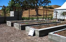 board formed concrete raised beds