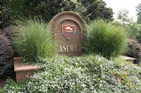 ascot woods in irmo sc metro realty
