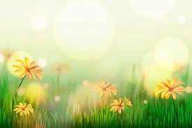 spring background images free