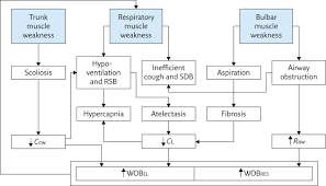 Physiology Of Respiratory Disturbances In Muscular