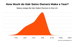 salon owners make salary income profit