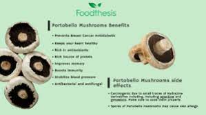portobello mushroom benefits side