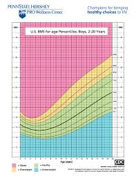 16 Bmi For Age Boys Bmi Index Chart For Kids Www