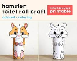Hamster Toilet Paper Roll Craft Rodent