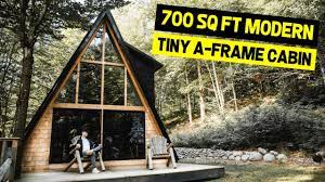 a frame cabin modern 700 sq ft cabin