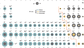 2 8 Sizes Of Atoms And Ions Chemistry Libretexts