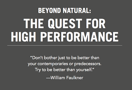 High Performance Habits Excerpts Brendon Burchard