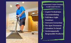 green eco carpet cleaning ayoub
