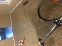 carpet cleaning services freemans