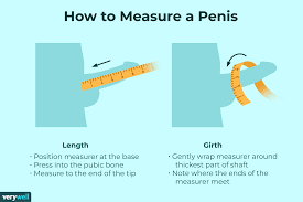 How to measure penis length