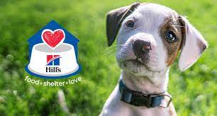 hill s pet treats the perfect way to