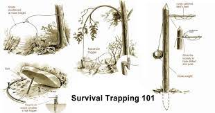 survival traps buillt to catch small