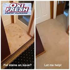oxi fresh carpet cleaning request a