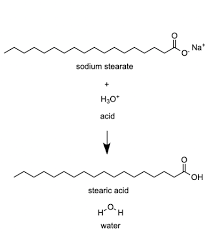 Free Fatty Acid From A Soap Molecule