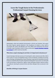 professional carpet cleaning services