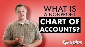 What Is A Nonprofit Chart Of Accounts