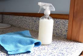 Homemade Mold Prevention Spray Tips