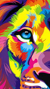 colorful lion lion draw color hd