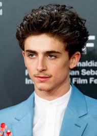 Chalamet started his acting career in two short films before appearing in the acclaimed television series homeland. Timothee Chalamet S Hair Has Been Through A Lot In 2018 Gq
