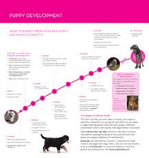 Puppy Development Chart Eukanuba Download Printable Pdf