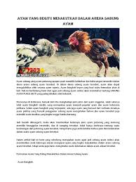 Jadwal judi sabung ayam online sv388 com 12 september 2019 #sabungayam #jadwalsabungayam. Ayam Yang Begitu Menakutkan Dalam Arena Sabung Ayam