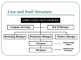 Organizational Structure And Roles